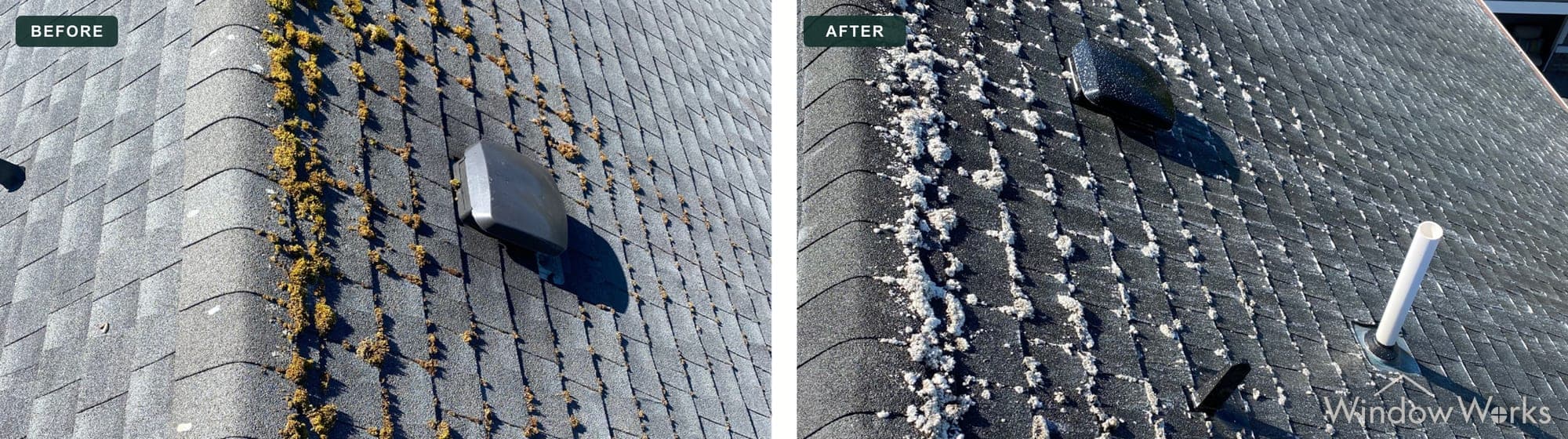 Heavy yellow moss removed from an asphalt shingle roof valley by soft washing, Eastside Seattle.