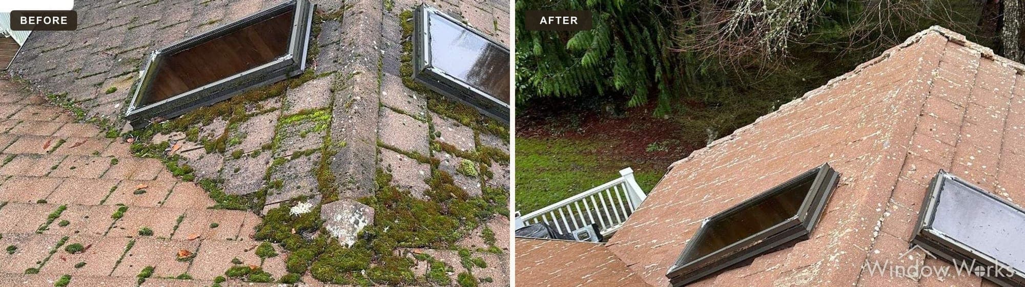 Before and after WindowWorks soft washing a moss-covered concrete tile roof with skylights on the Eastside