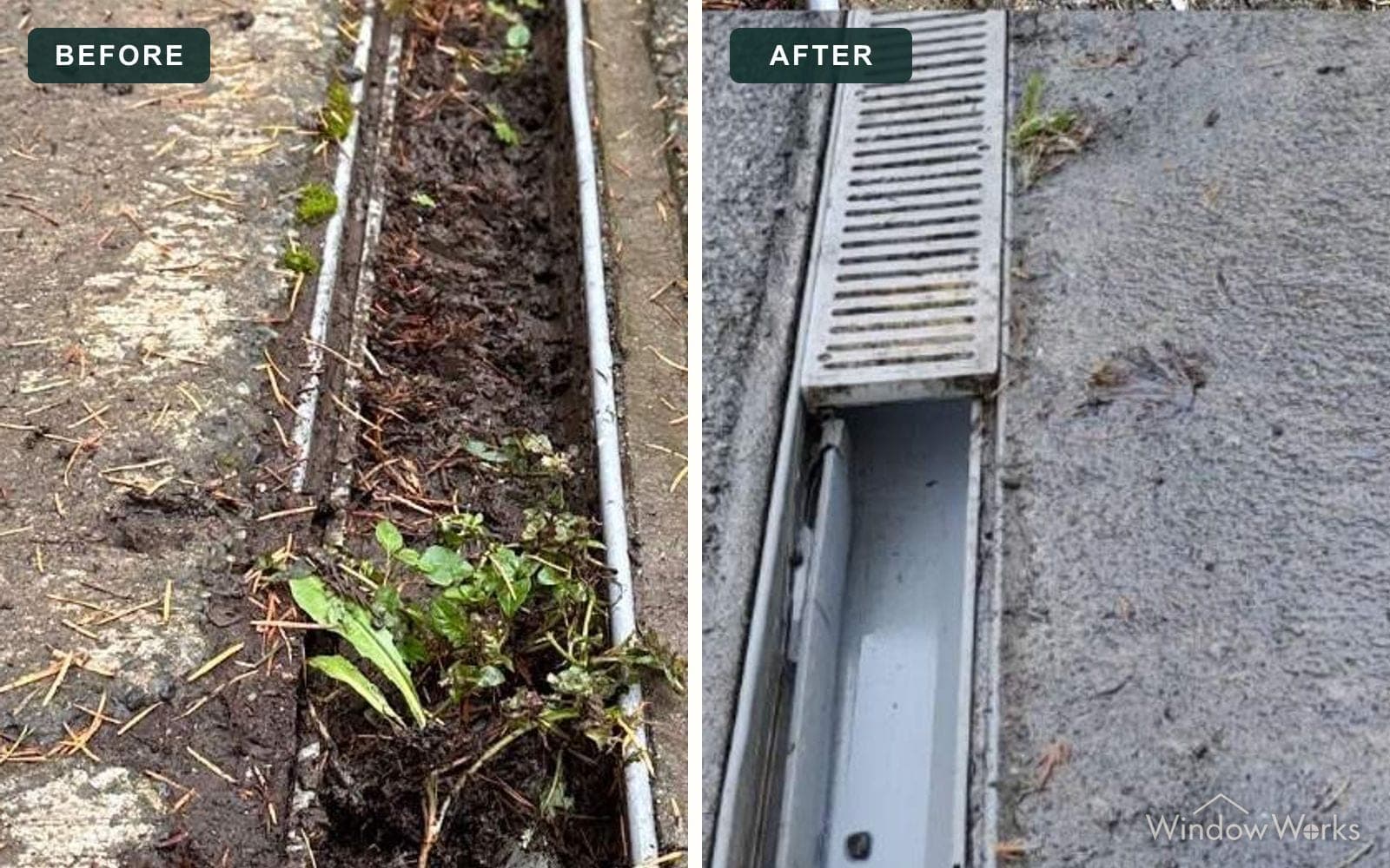 Before and after WindowWorks clearing a driveway trench drain packed with mud and weeds, the channel jetted back to bare metal, Eastside Seattle.