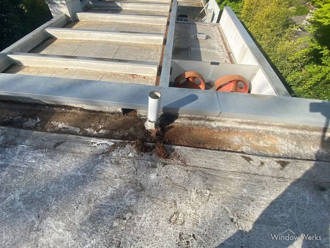 A flat membrane roof with heavy grime along the parapet base and a rust-colored fan of pollen spreading out below an overflow outlet.