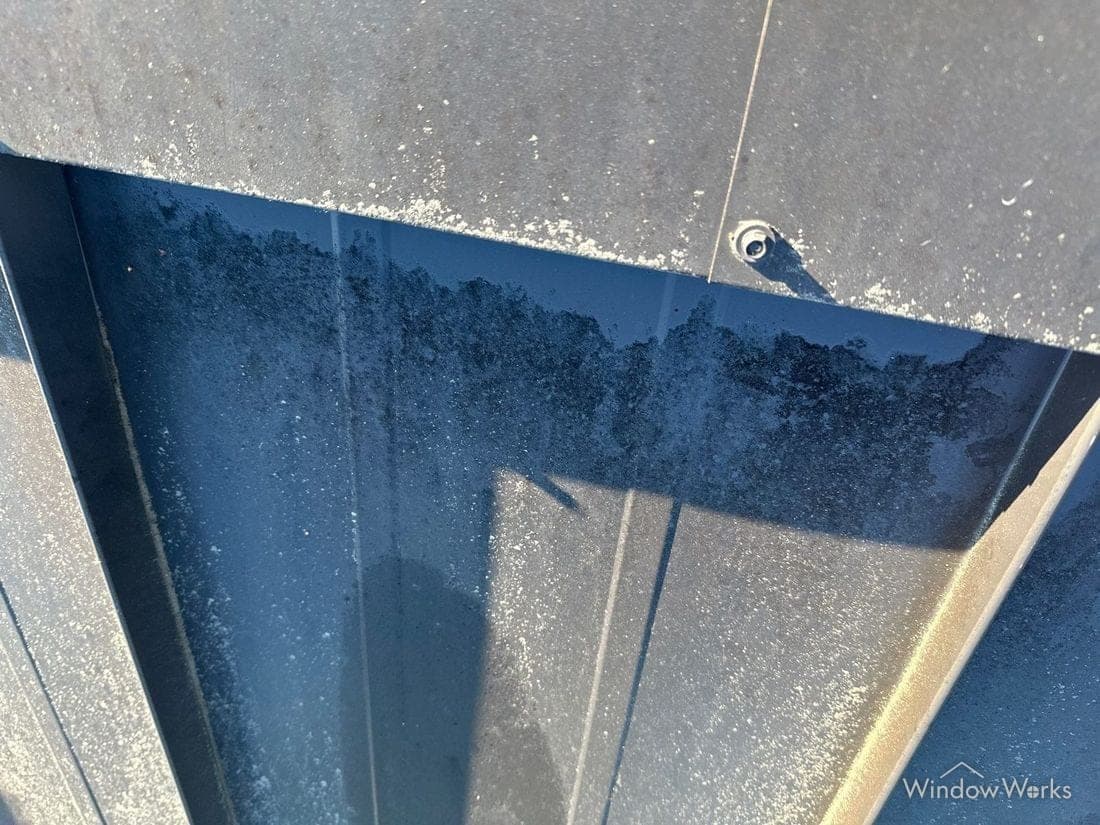 Dark green algae growth spreading across the shaded lower section of a dark metal roof panel.