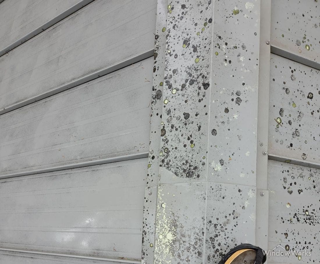 Light gray painted metal panels heavily colonized with gray and yellow lichen discs.