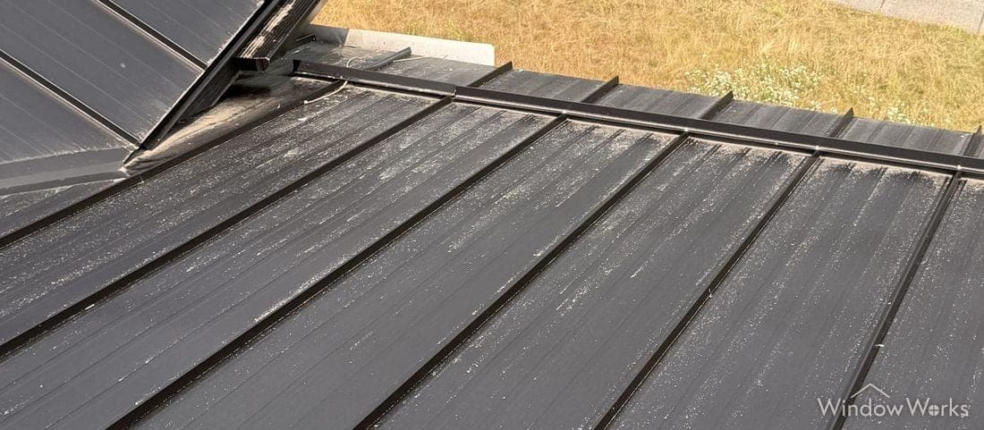 Close view of pollen speckling bonded to the painted surface of a dark metal roof panel.