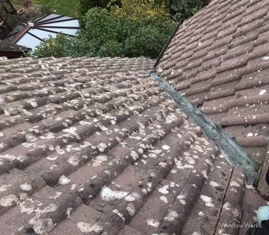 Chalky gray-white lichen crusted across a barrel-profile concrete tile roof.