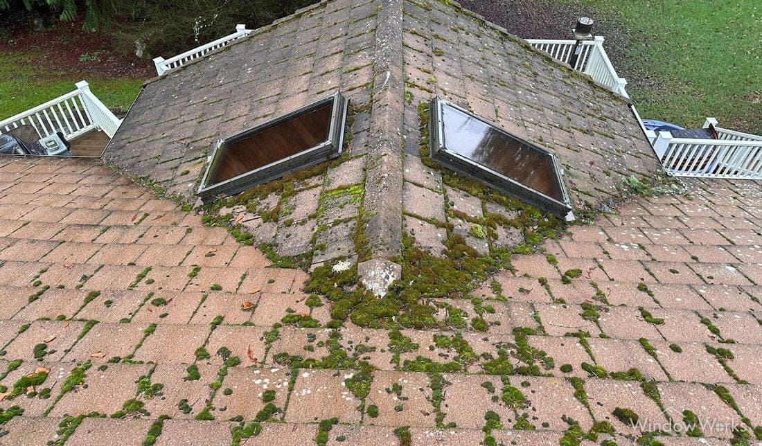 Green moss filling the joints of a flat concrete tile roof and spreading across the field around two skylights.
