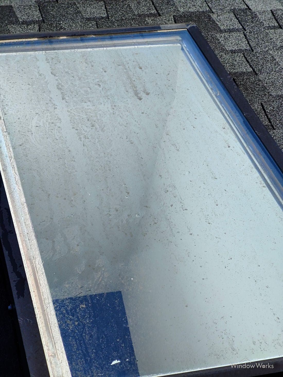 A skylight with a green-gray algae film covering the glass.