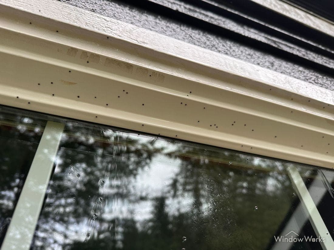 Artillery fungus spores scattered over a cream window frame above the glass.