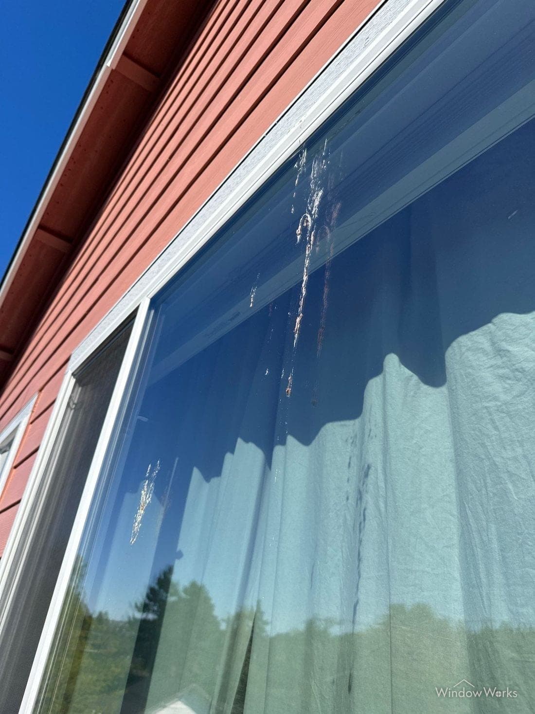 Bird droppings running down the outside of a window pane.