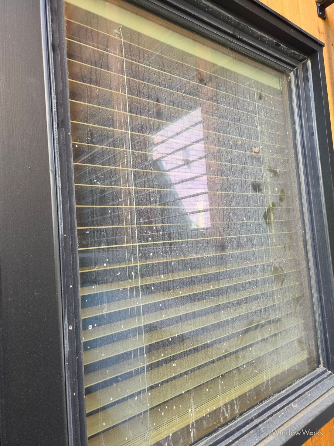 Construction splatter and drip marks across a window on an active site