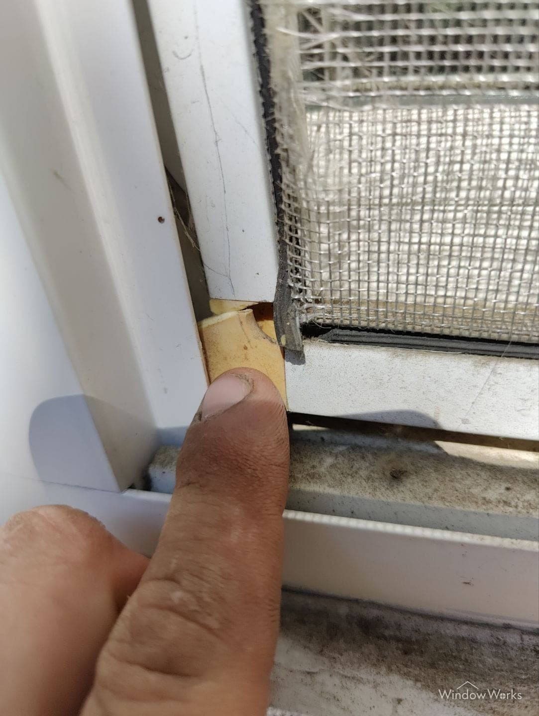 A window screen with a failed corner joint, the frame separated and the spline lifting away.