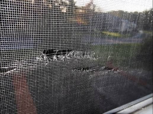 A window screen with a torn, distorted section of mesh.