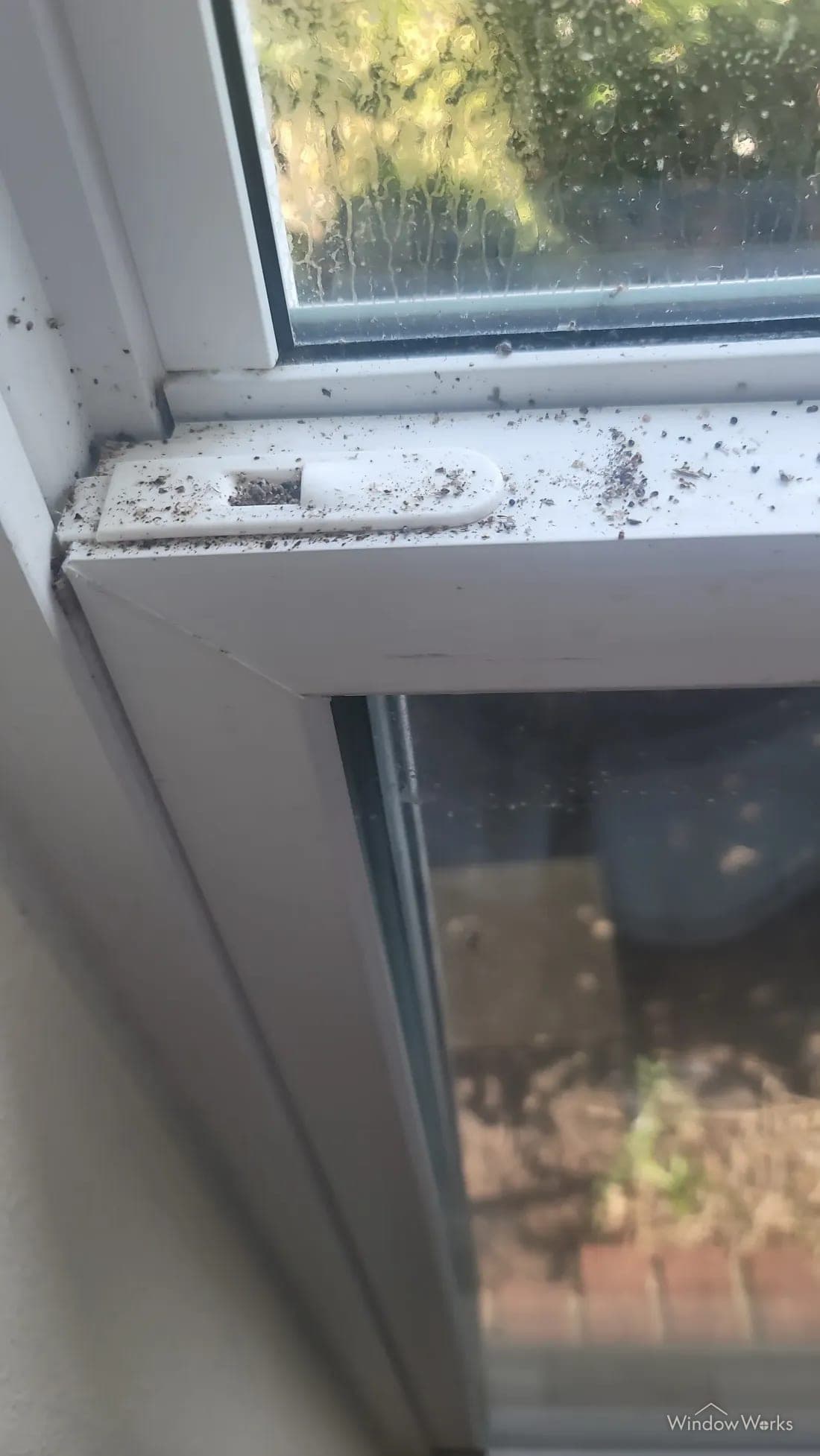 Spider droppings and bug debris scattered across a window frame and sill.