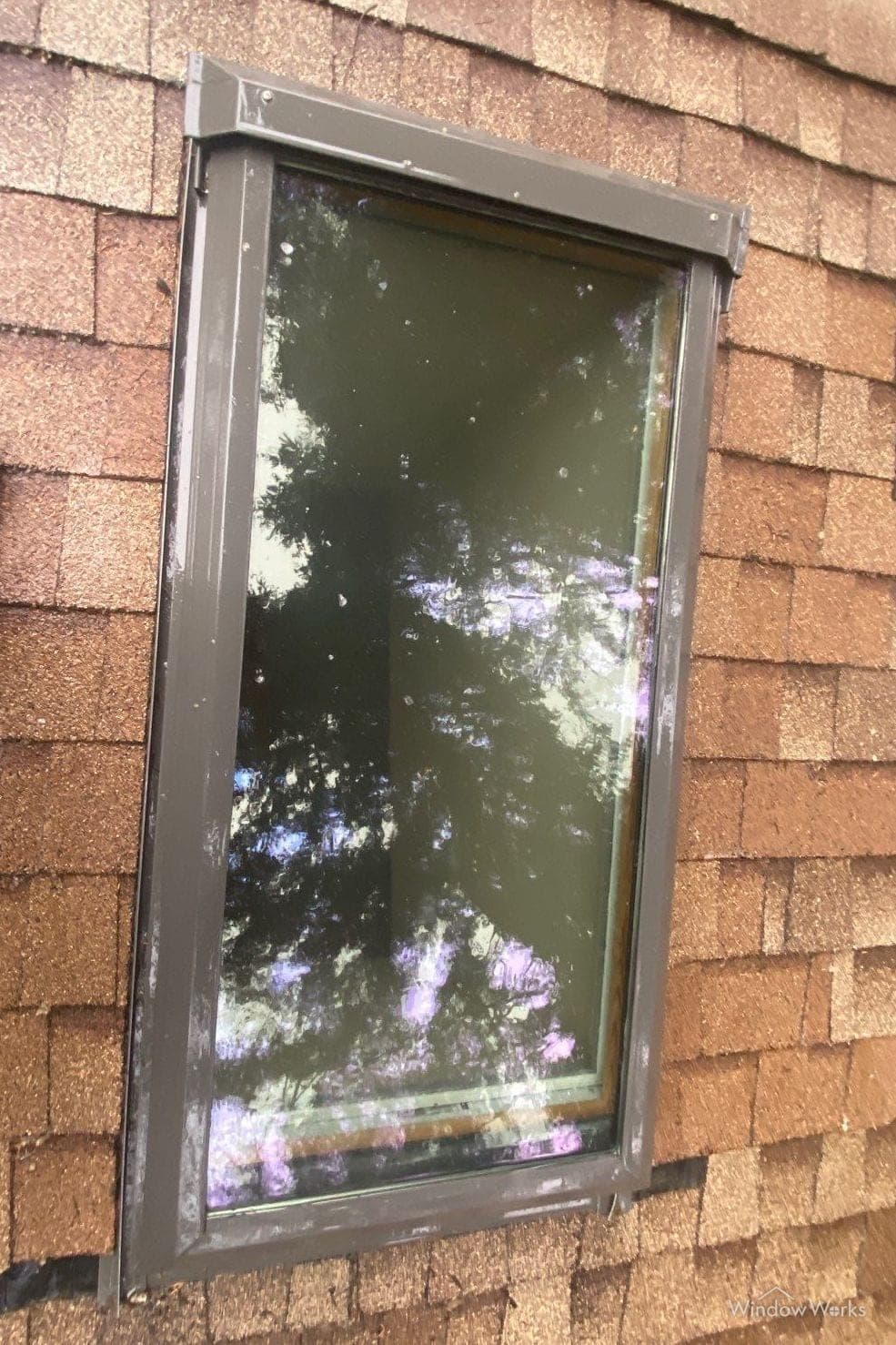 Tree sap and debris spattered across a skylight, showing as pale iridescent blobs on the glass.