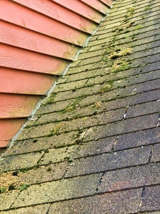 An asphalt roof heavily streaked with algae and moss on an Eastside Seattle home, the kind of growth that drives moss-treatment choices
