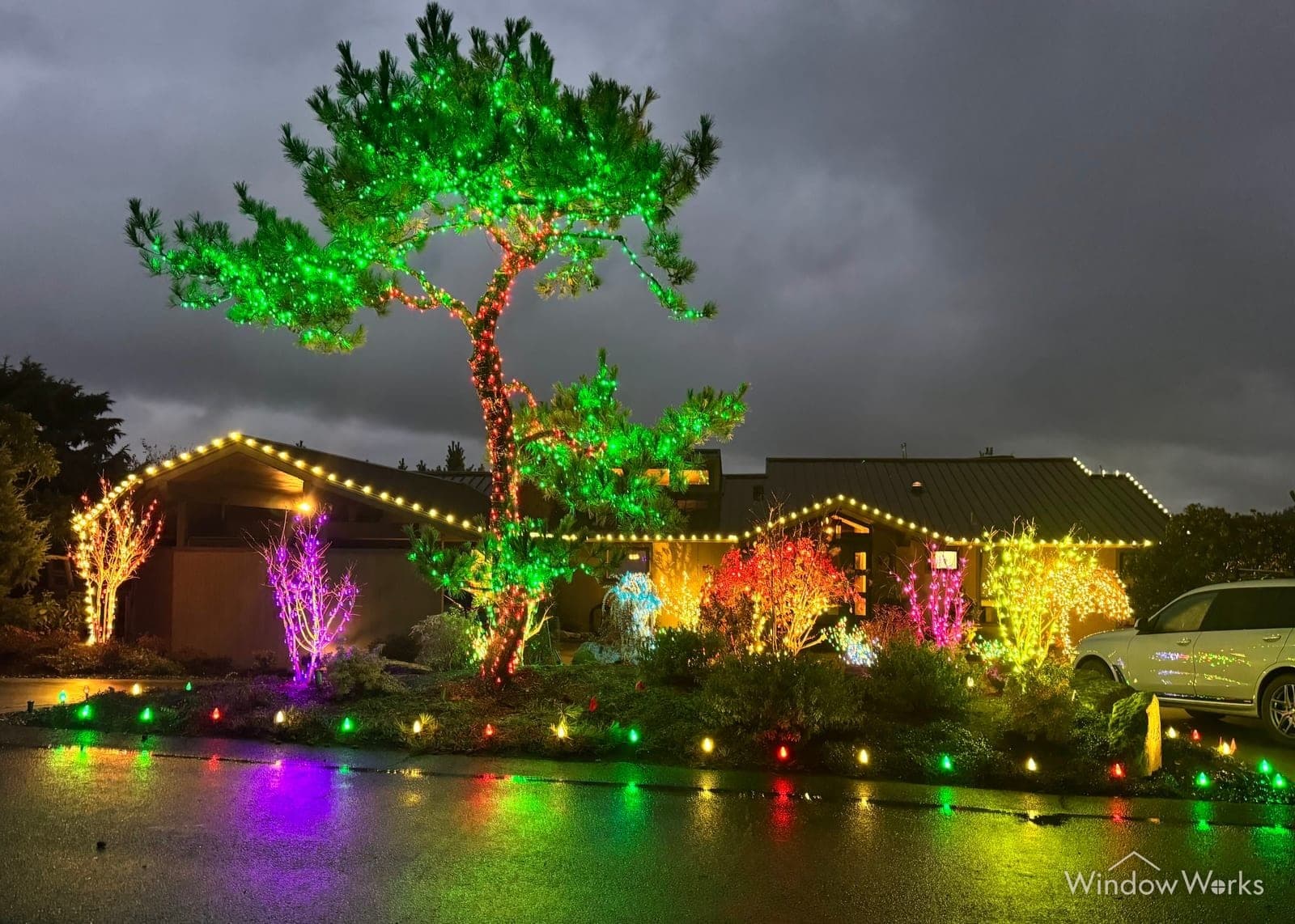 A WindowWorks holiday lighting display with a green-lit tree and warm-white roofline on an Eastside home at night