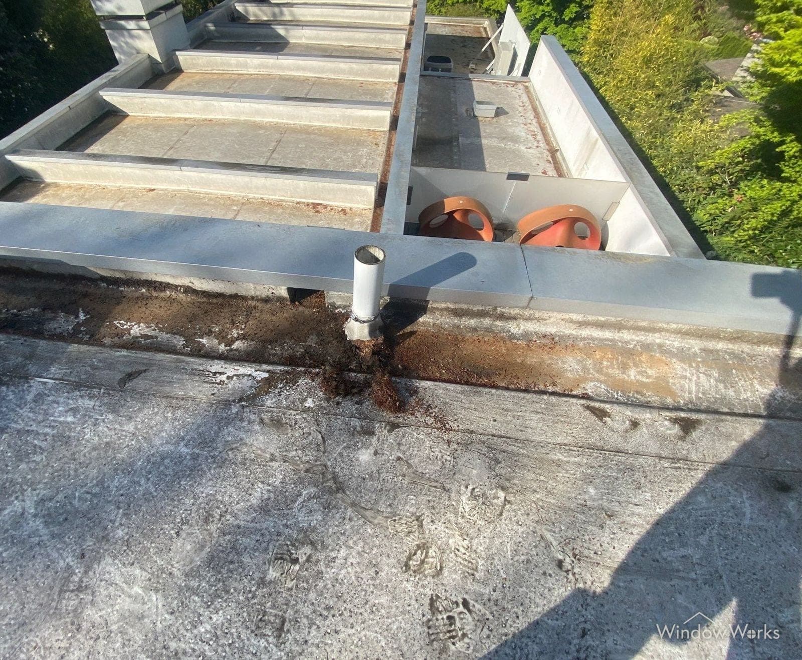 Needle and leaf debris packed along the parapet edge and around a drain penetration on a flat membrane roof on the Eastside