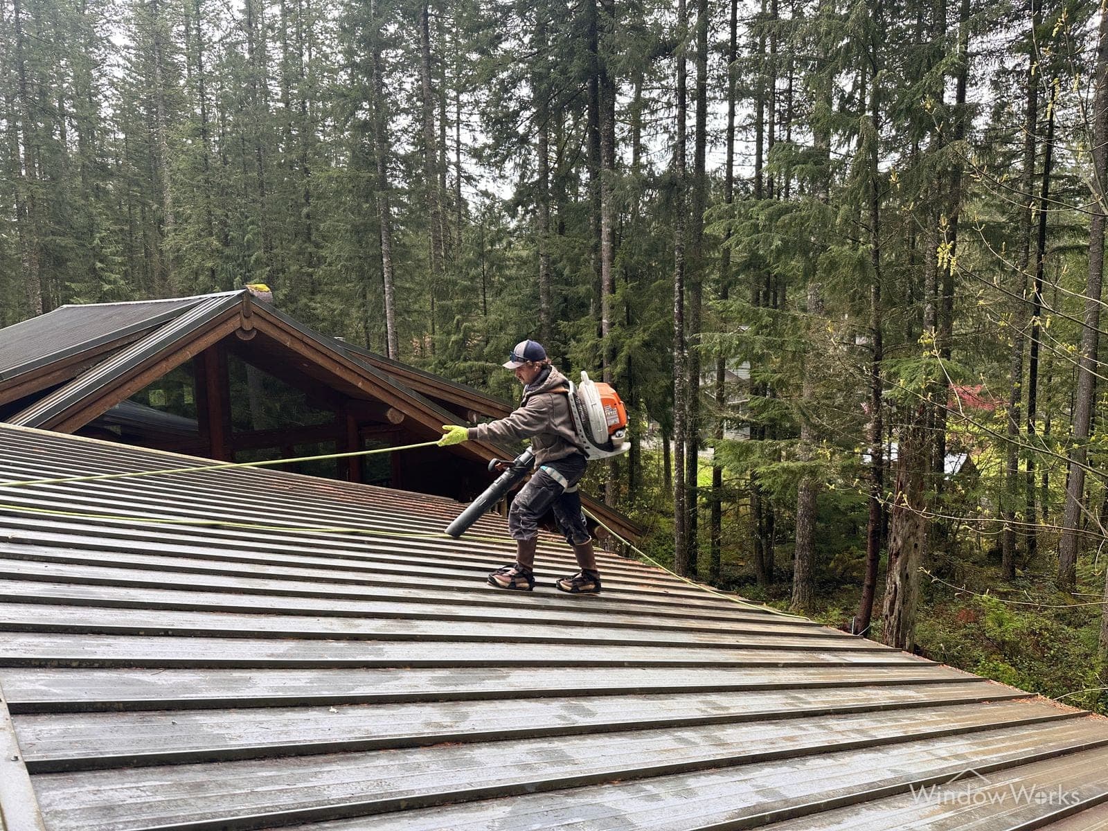 A roped WindowWorks technician walking a standing-seam metal roof with a backpack blower, moving needle debris down toward the gutter line