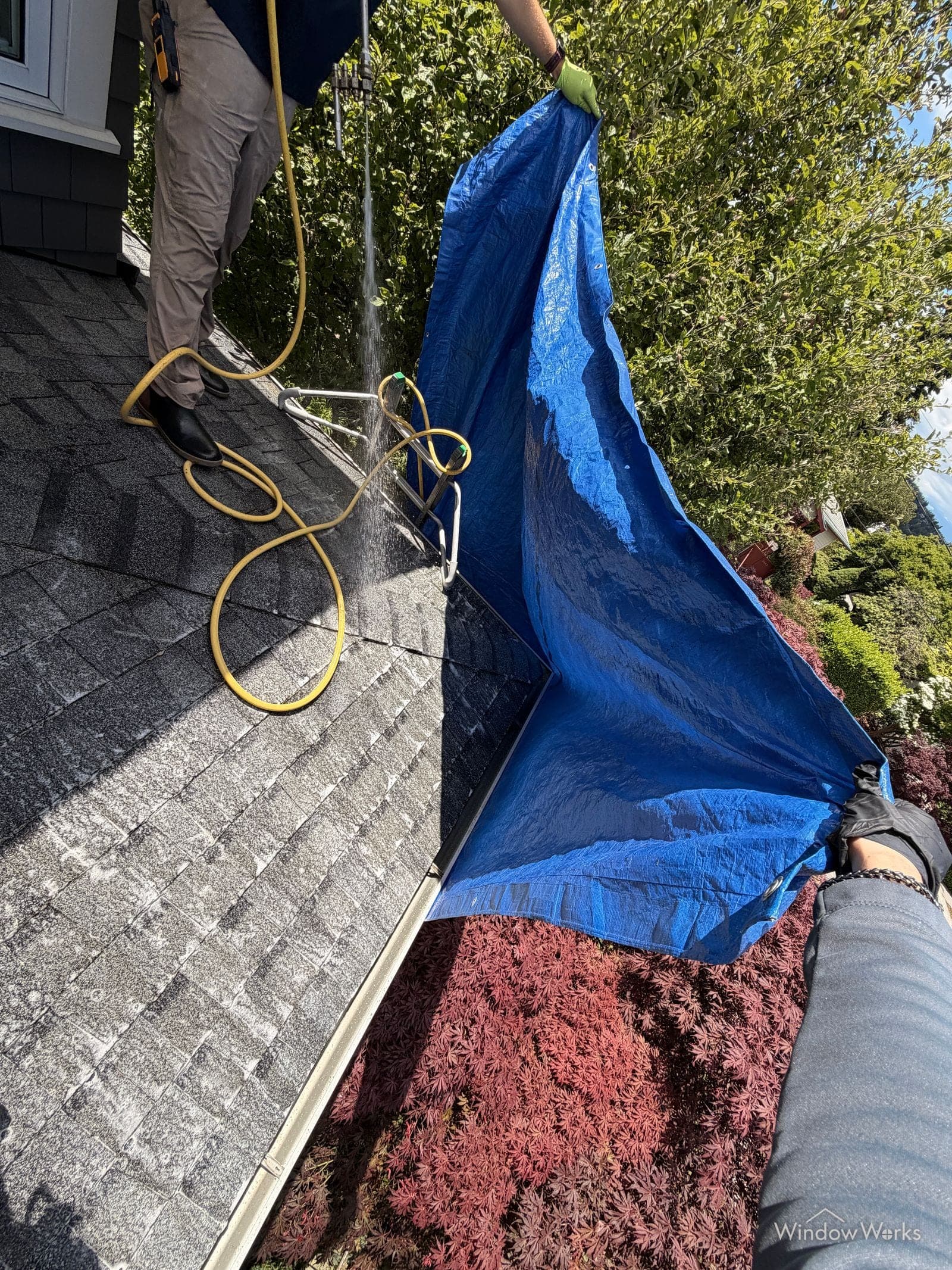WindowWorks technicians setting protective tarps over landscaping and roof edges, part of the written property-protection protocol followed on every job