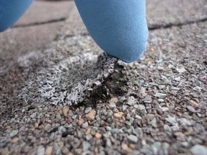 Lichen colonies and granule loss on an asphalt shingle roof on the Eastside