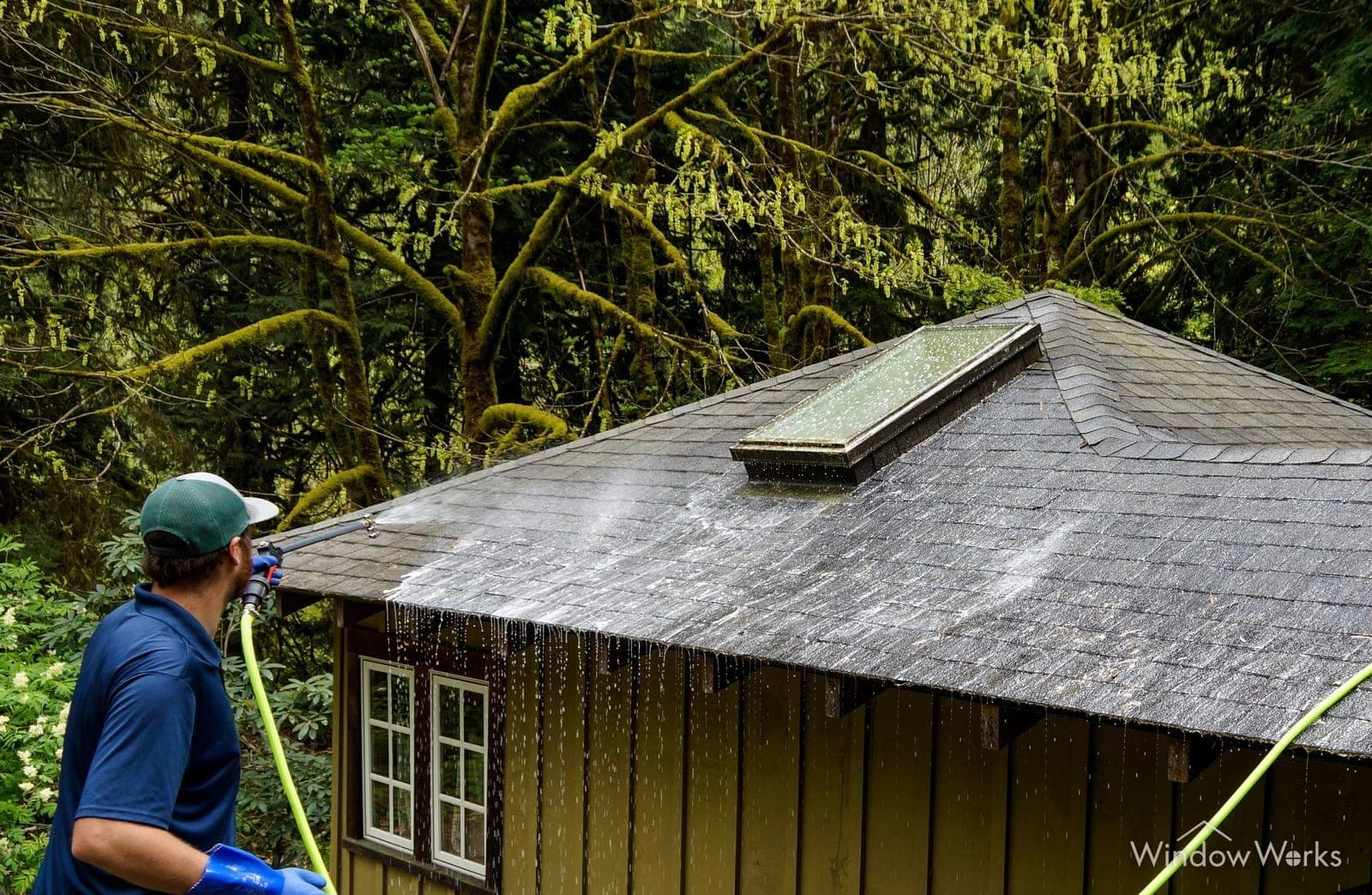 A WindowWorks technician soft washing a moss-stained composition roof with a low-pressure wand, rinse running off the eaves of a forested Eastside Seattle home