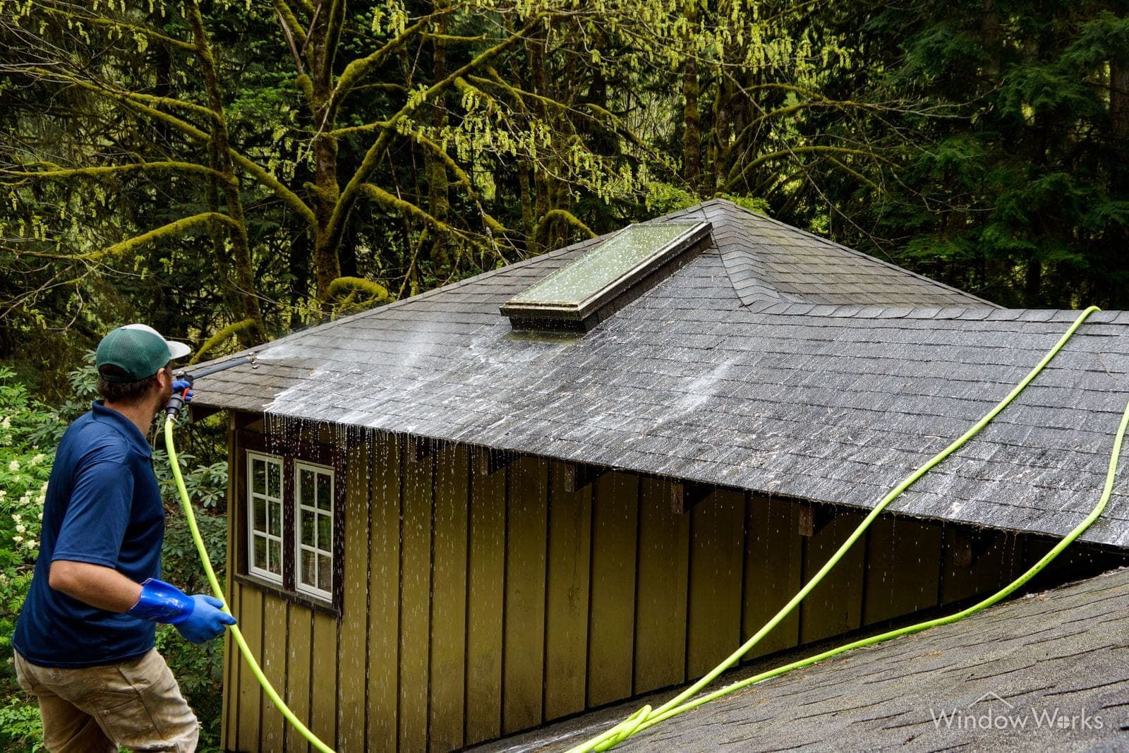 A WindowWorks technician soft washing a composition shingle roof from the ground with a low-pressure wand, mossy fir trees behind the house.