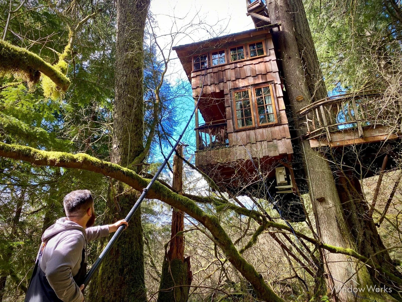 WindowWorks technician cleaning treehouse windows with a purified water-fed pole on the Eastside