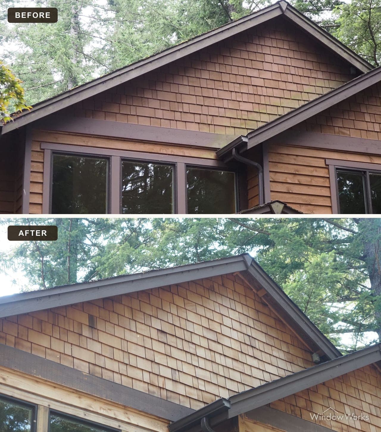Before and after WindowWorks stripping the dark, algae-stained finish off a cedar shake gable, the wood back to bright cedar on the Eastside