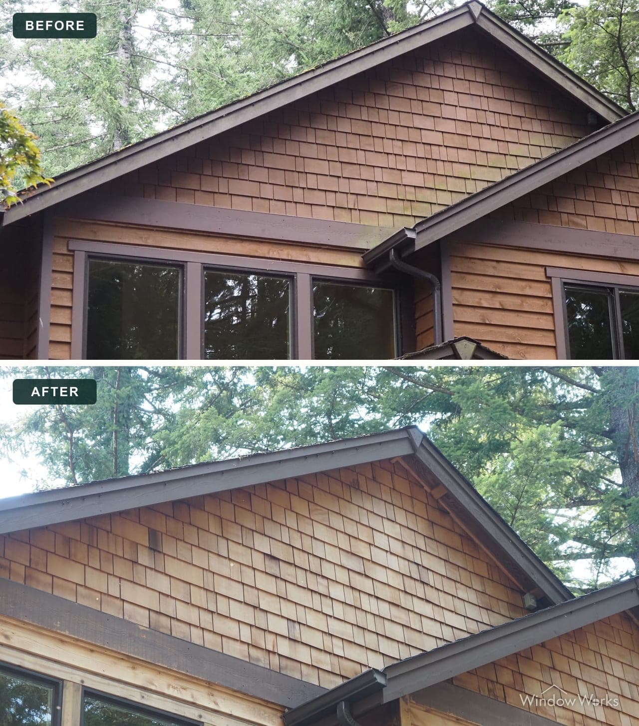 Before and after WindowWorks stripping the dark, algae-stained finish off a cedar shake gable, the wood back to bright cedar on the Eastside