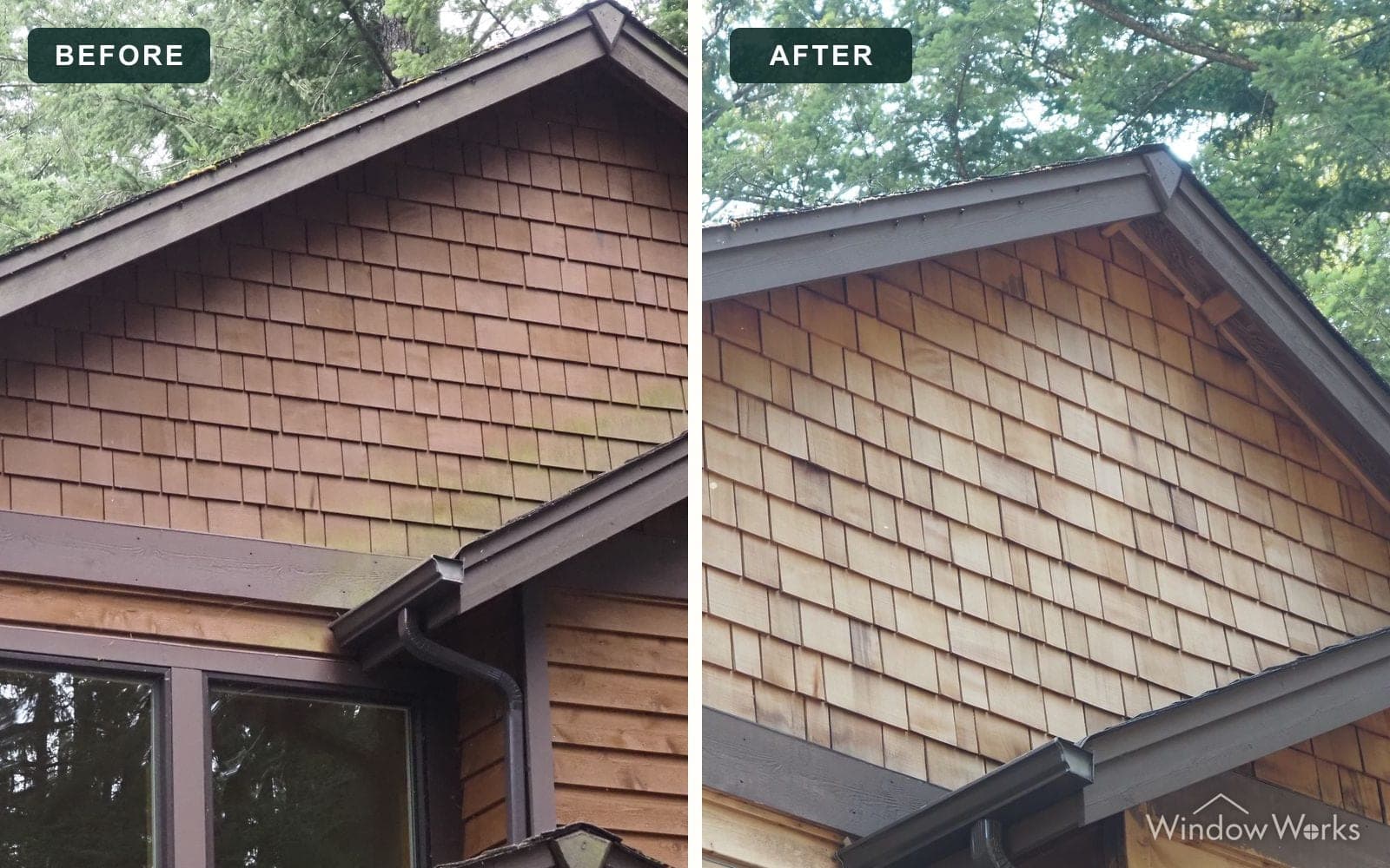 Before and after WindowWorks stripping the dark, algae-stained finish off a cedar shake gable, back to bright cedar