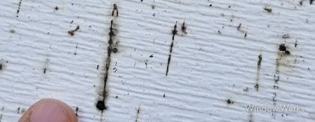 Bug droppings and spider webs on light-colored siding