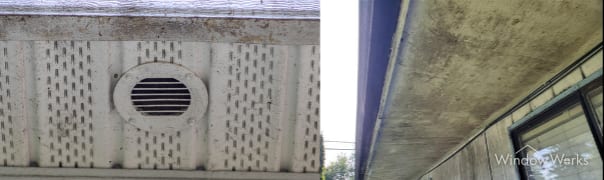 Mold and mildew on a soffit and siding